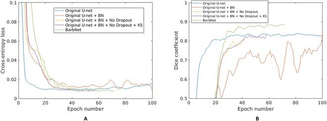 AwnImageAnalysisandPhenotypingUsingBarbNet使用BarbNet进行芒的图像分析和表型分析