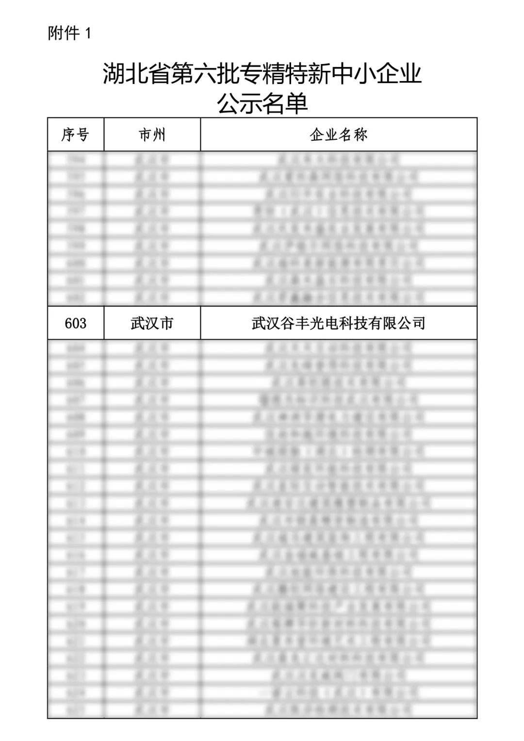 谷丰光电荣获湖北省第六批专精特新中小企业认定！